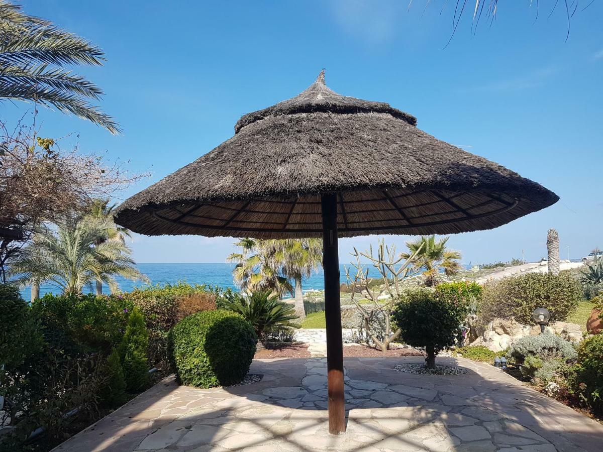 Sea Front Villa Vera Хлоракас Экстерьер фото